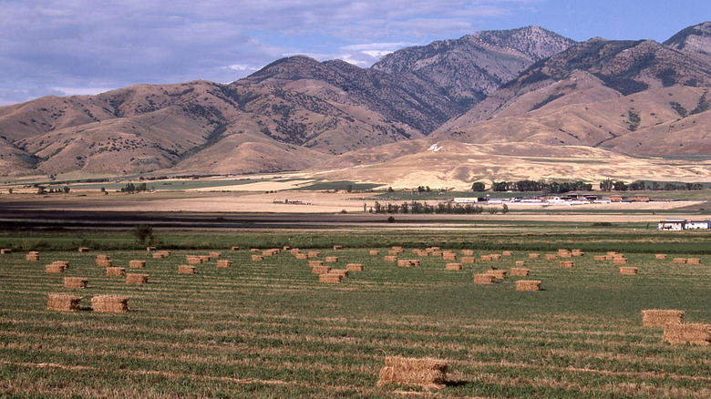 Farm lands near Mona, Utah with mountains in the background during the day.