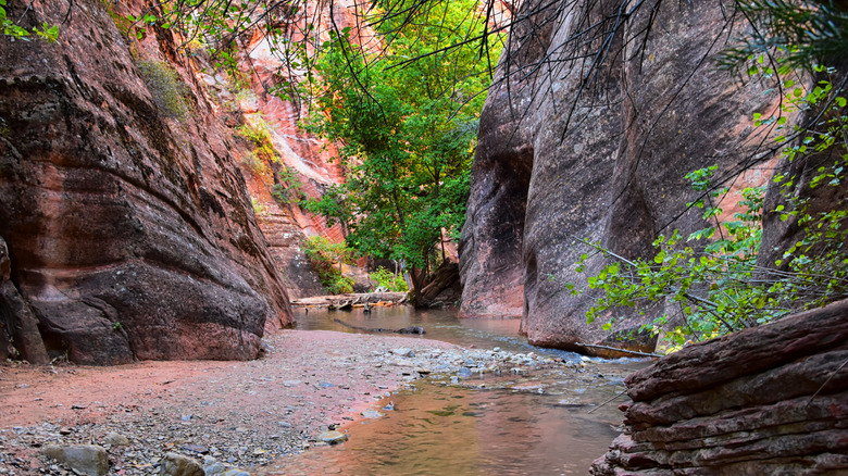 View of hiking trail at Kanarraville Falls near Cedar City