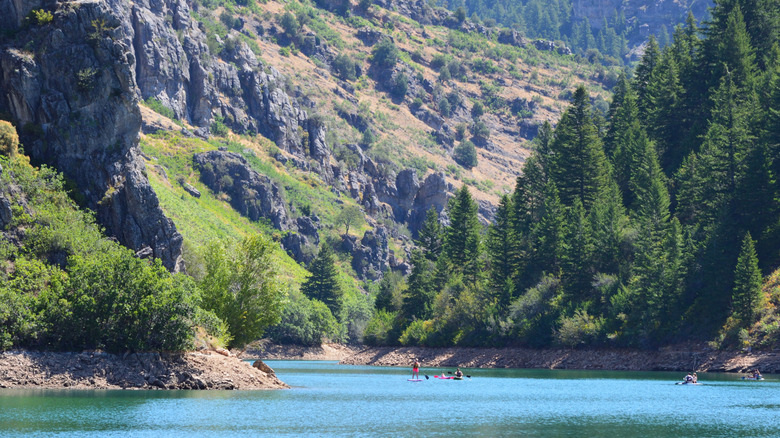 Causey Reservoir and surrounding hills and pine trees, with paddleboarders on calm blue waters
