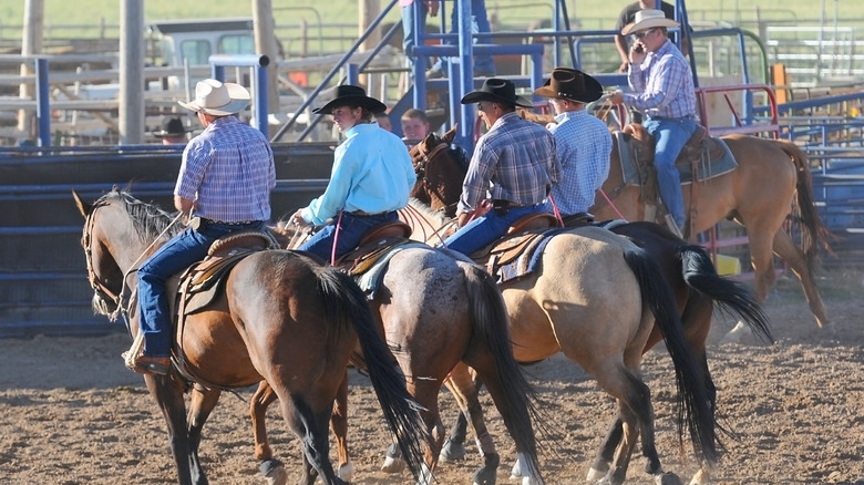 Horseback riders at a rodeo