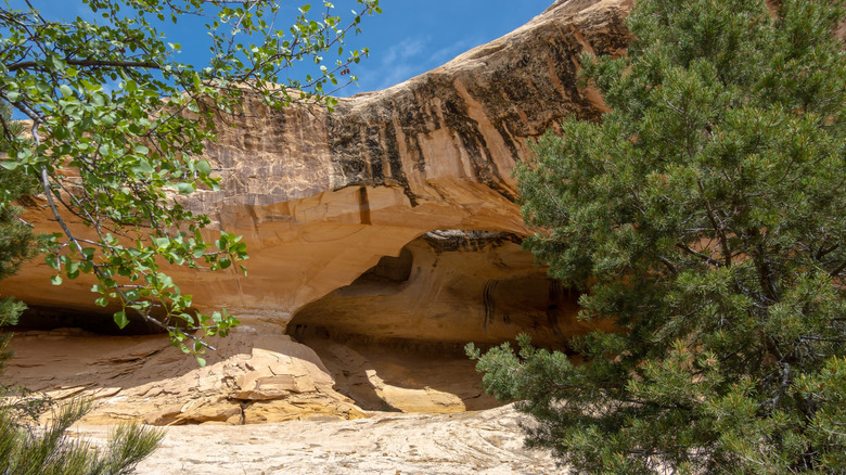 Head on photo of Wild Horse Window