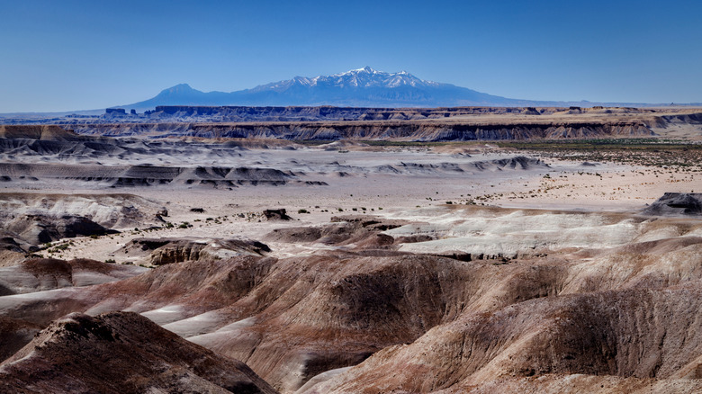 Muddy Creek Wilderness with the Henry Mountains in the background with Morrison Formation Bentonite Clay Deposits in the Foreground near Hanksville Utah