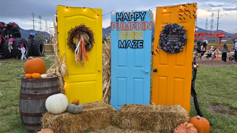 Three colorful painted doors surrounded by a pumpkin display and hay bales to sit on, with children playing in the background, at Happy Pumpkin Corn Maze festival
