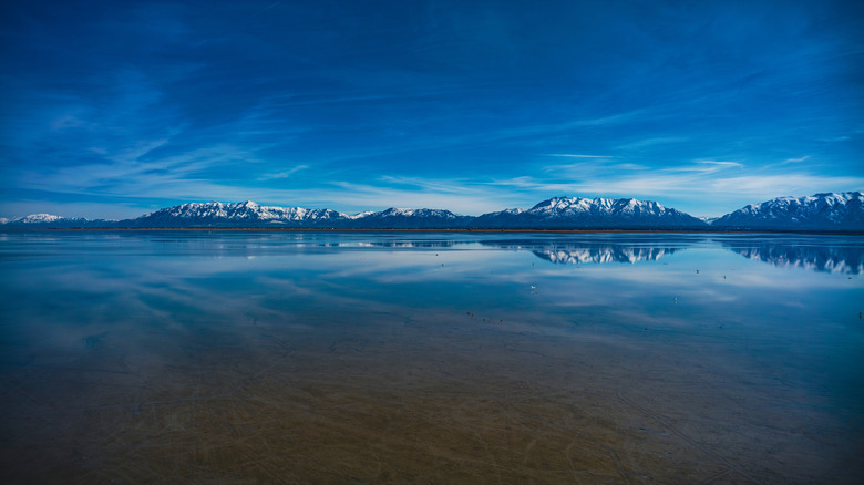 Bridger Bay and the Great Salt Lake
