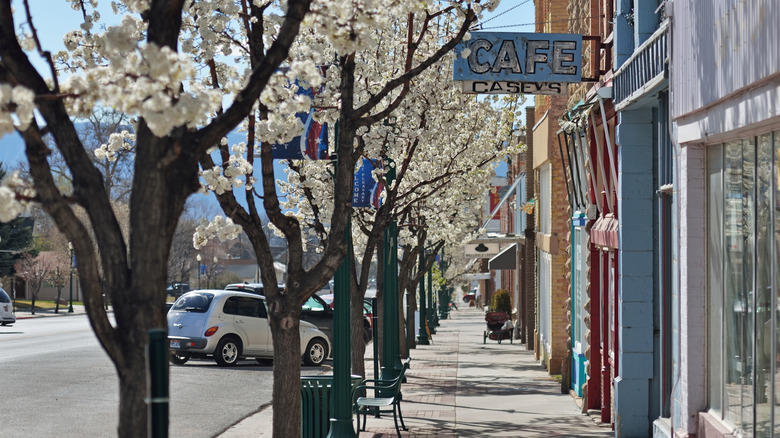 Colorful buildings and flowered trees in Mount Pleasant, Utah