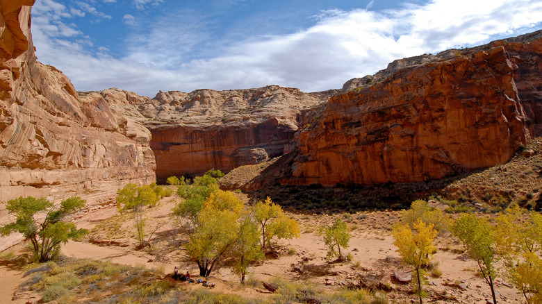 A stunning view of the beautiful walls of Horseshoe Canyon in Canyonlands National Park where the Great Gallery of pictographs is found