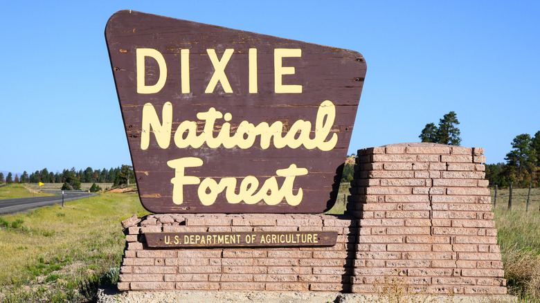 Dixie National Forest sign in Utah