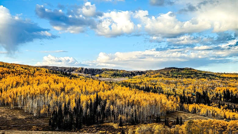 A view of mountains and the forest in Fairview, Utah, in autumn