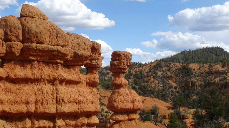 Typical reddish landscape in the vast Dixie National Forest of Utah