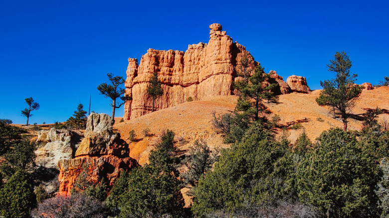 Red Canyon in Dixie National Forest in Utah
