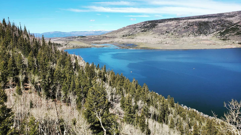 Forested hills in winter around Fish Lake in Utah