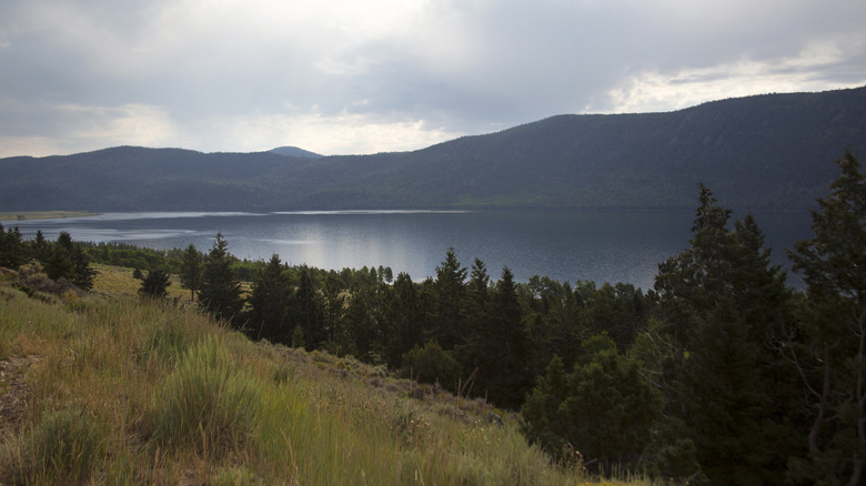 A scenic view of Fish Lake with trees in the foreground and a mountain in the background
