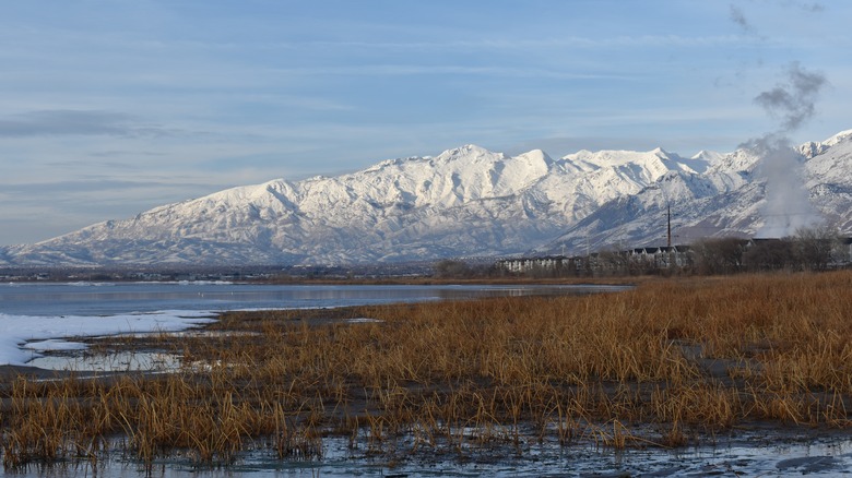 Utah Lake marsh with mountains in the background
