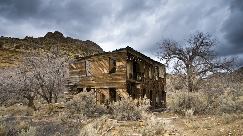 Abandoned shack surrounded by desert scrub with a mountain peak in the background