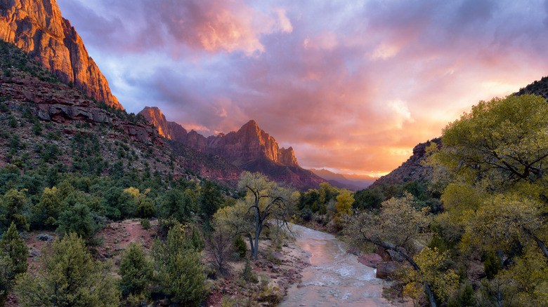 Sunset over the Watchman and the Virgin River, Zion National Park