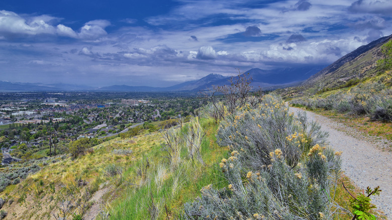 The Bonneville Shoreline Trail along Provo with valley views