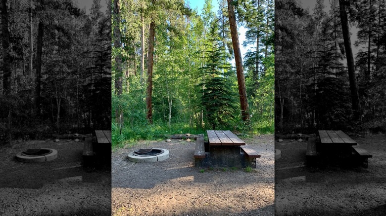 Picnic table at Soapstone Campground