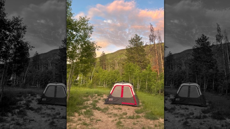 Tent in Soapstone Campground
