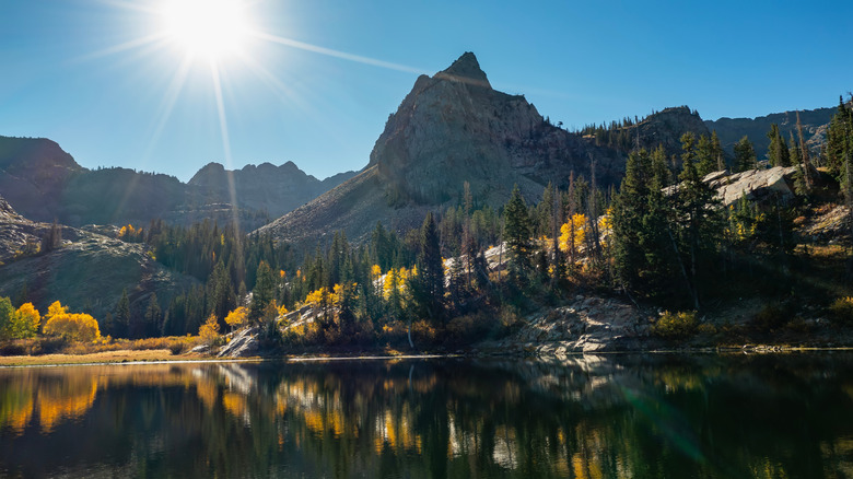 Aerial photo of Utah's Big Cottonwood Canyon with golden aspens, and a alpine lake framed by a towering mountain in autumn.