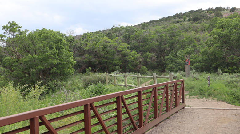 Hiking in Yellow Fork Canyon outside of Herriman, Utah