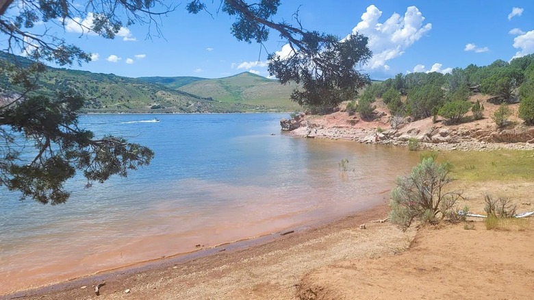 Views of the sandy shore of Rockport Reservoir in Utah, surrounded by lush greenery and rolling hills.