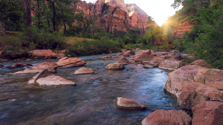 Virgin River waters flowing in Utah Falls Park