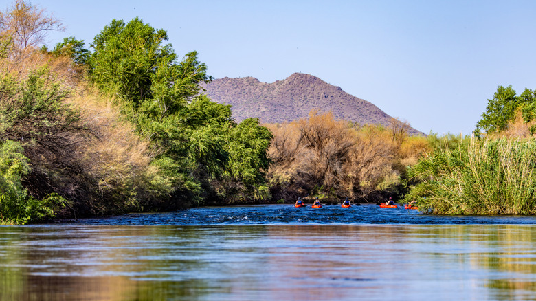 a group of paddlers in a lake surrounded by desert landscapes