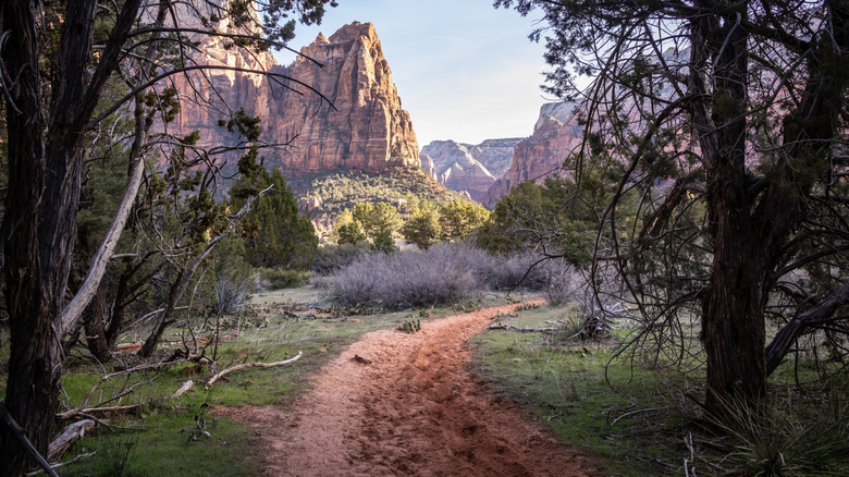 Sand Bench Trail in Zion National Park