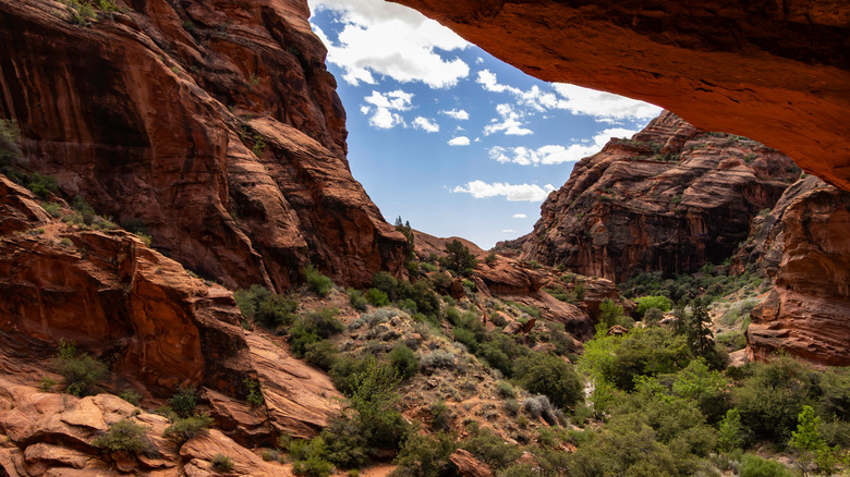 Views from the archaeologic site off of the Red Reef Trail in the Red Cliffs National Conservation Area, Utah