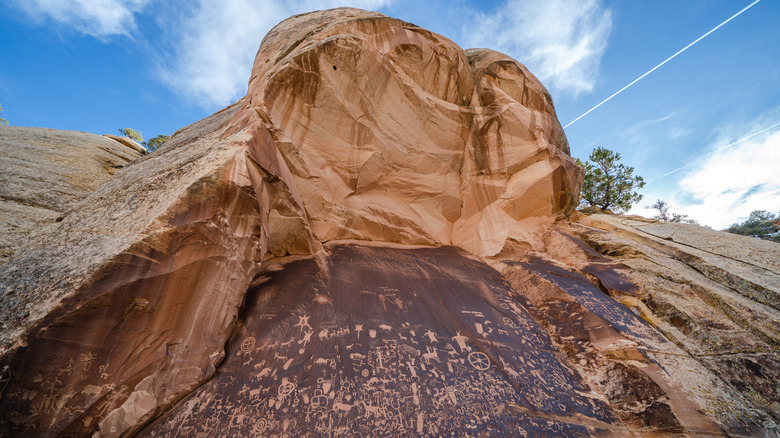 A collection of ancient carvings etched into sandstone at Newspaper Rock.