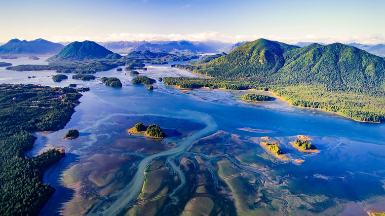 Clayoquot Sound, Vancouver Island, from above