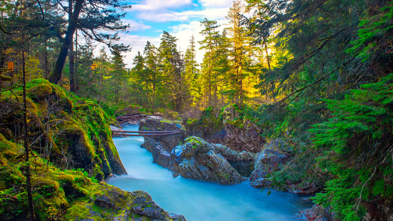 Long exposure of Little Qualicum falls in daylight