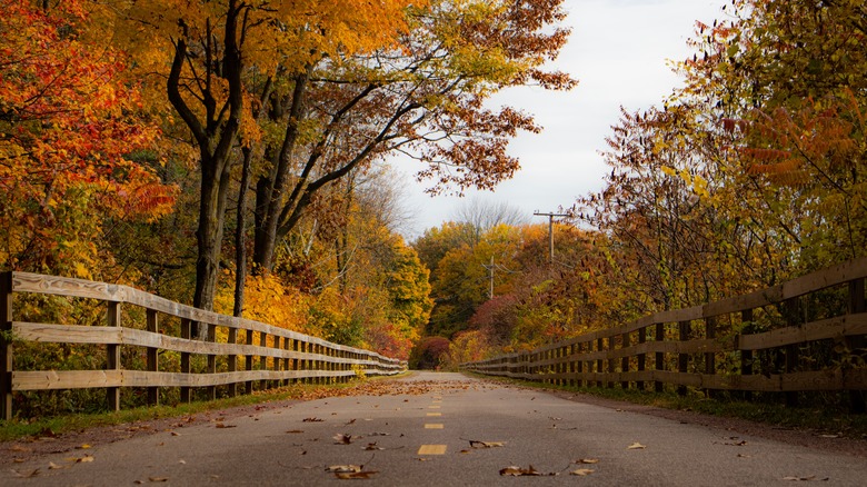 Bike path in Burlington, Vermont, with red and orange autumn foliage all around