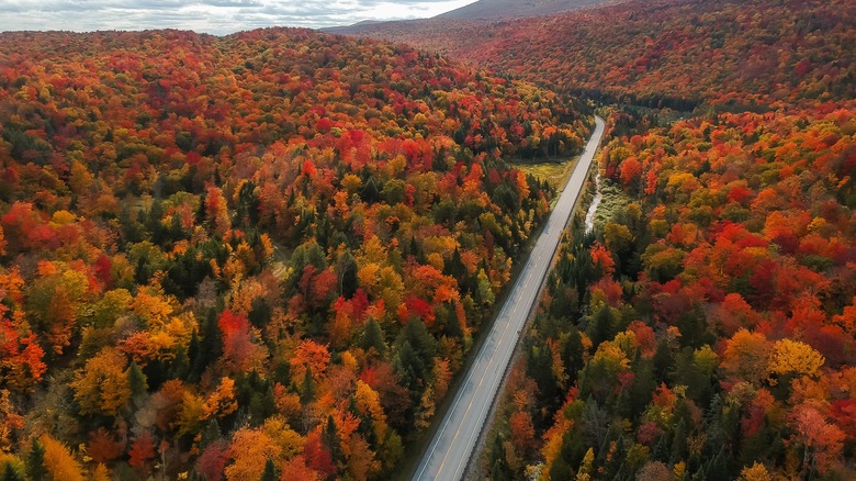 A road in Stowe, Vermont, with fall-colored trees on either side