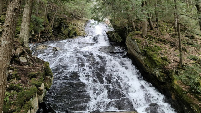 Thundering Brook Falls in Vermont