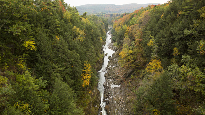 Birdseye view of Quechee Gorge, VT