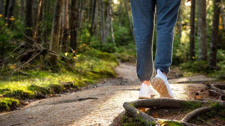 A hiker on a forested trail in Vermont