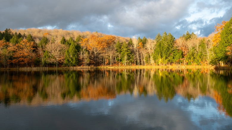 Pogue pond in Vermont's Marsh-Billings-Rockefeller Historic National Park
