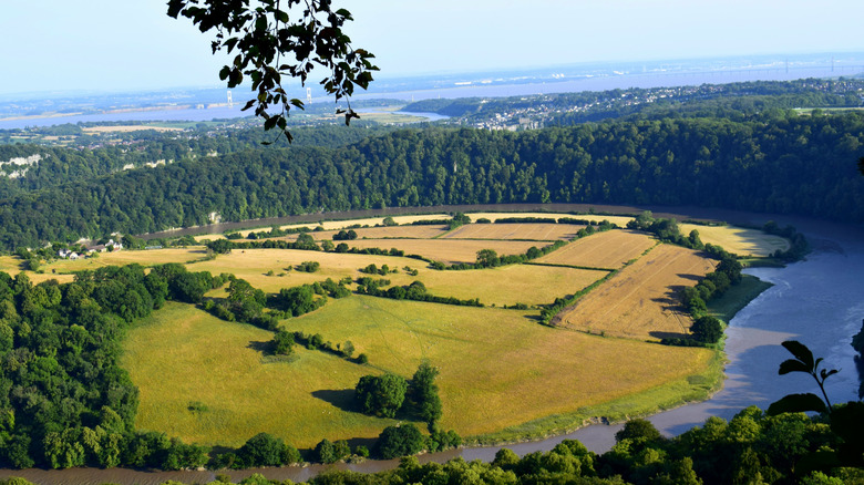 Arial photos of fields and forest around Derby, Vermont on a sunny summer day