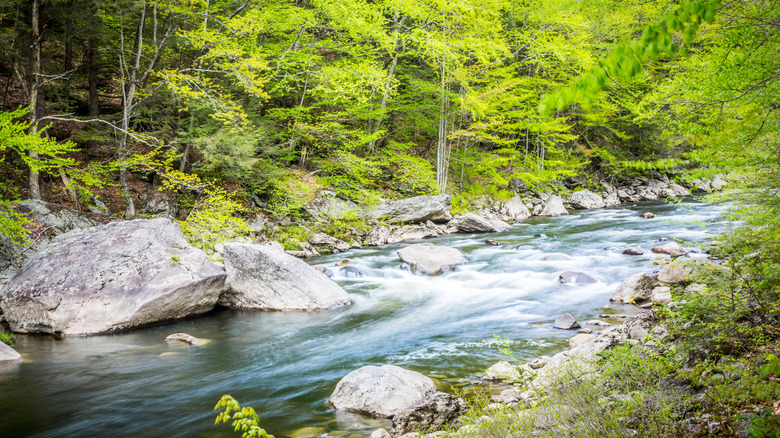 Rushing river in Jamaica State Park, Vermont