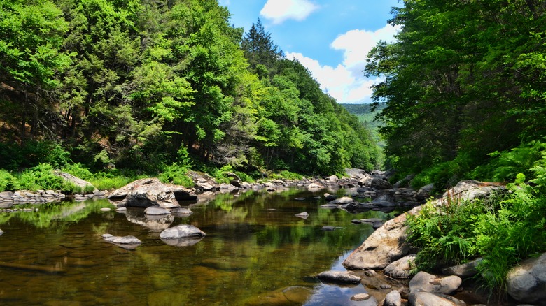 River running through Jamaica State Park, Vermont