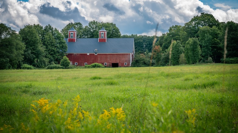 Red barn in Greensboro, Vermont