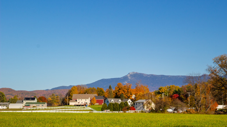 An autumnal view of homes in Jericho, Vermont