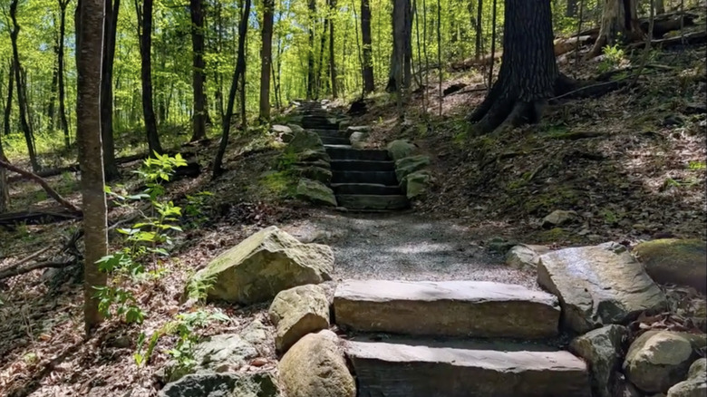 Stone steps lead up a slope on Mt. Philo during a summer day in Vermont