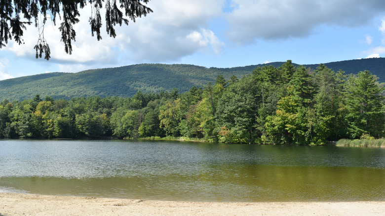 A sandy beach lines one shore of Vermont's Lake Shaftsbury under partly-cloudy skies; on the opposite bank is a grove of mature trees and rolling green hills behind them.