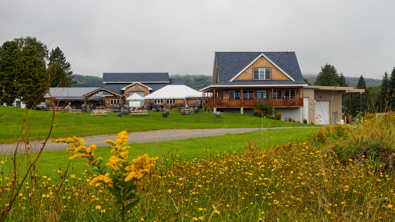 yellow flowers in front of Hill Farmstead Brewery on a cloudy day