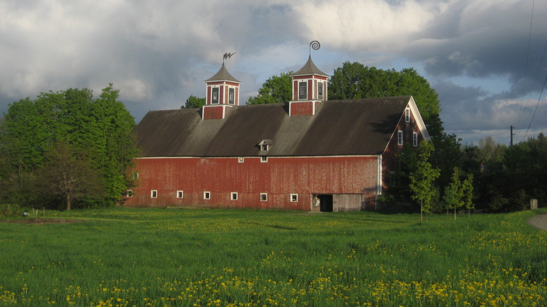 Turning Stone Farm in Greensboro, VT