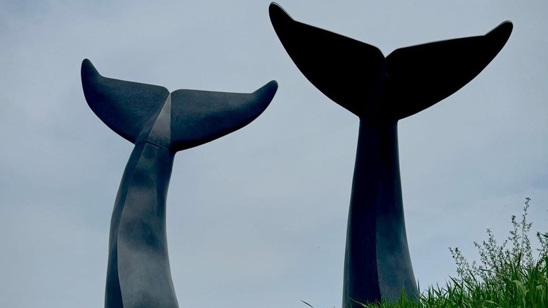 A granite statue of two whale tails