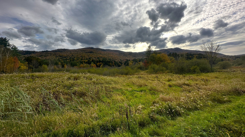 View of the Green Mountains from a field in Johnson, Vermont