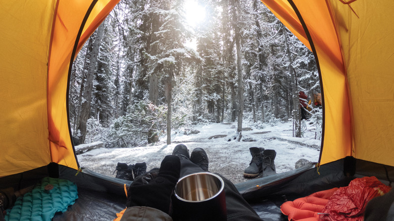 The view from inside a tent on a snowy morning